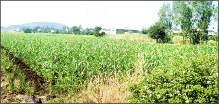 > </div>
<div class=